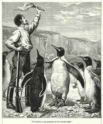Onneksi saarelle saapui pingviinejä